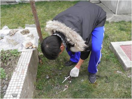 20120315110811596.jpg